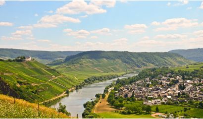 Albiger Hundskopf Riesling Auslese 