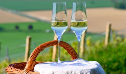 Sauvignon Blanc Sekt 0.0