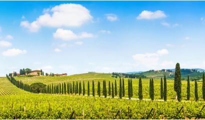 Tenuta di Trecciano Chianti Colli Senesi Riserva