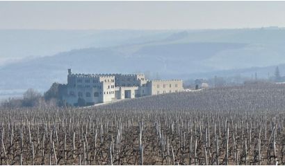 Danube River Viognier             