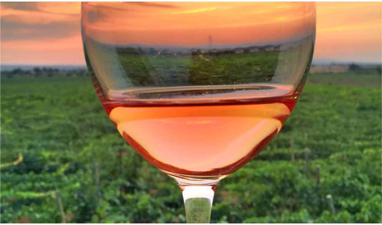 Rosé Touraine