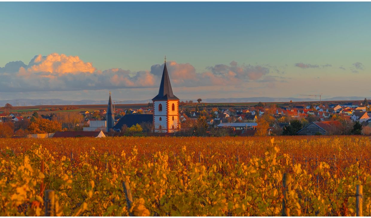 Bermersheimer Klosterberg Kabinett Rivaner Trocken
