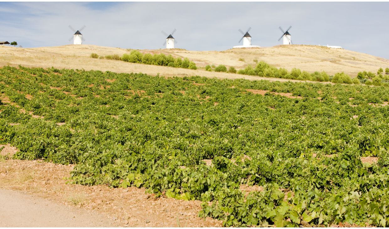 Masia J. Merlot Castilla