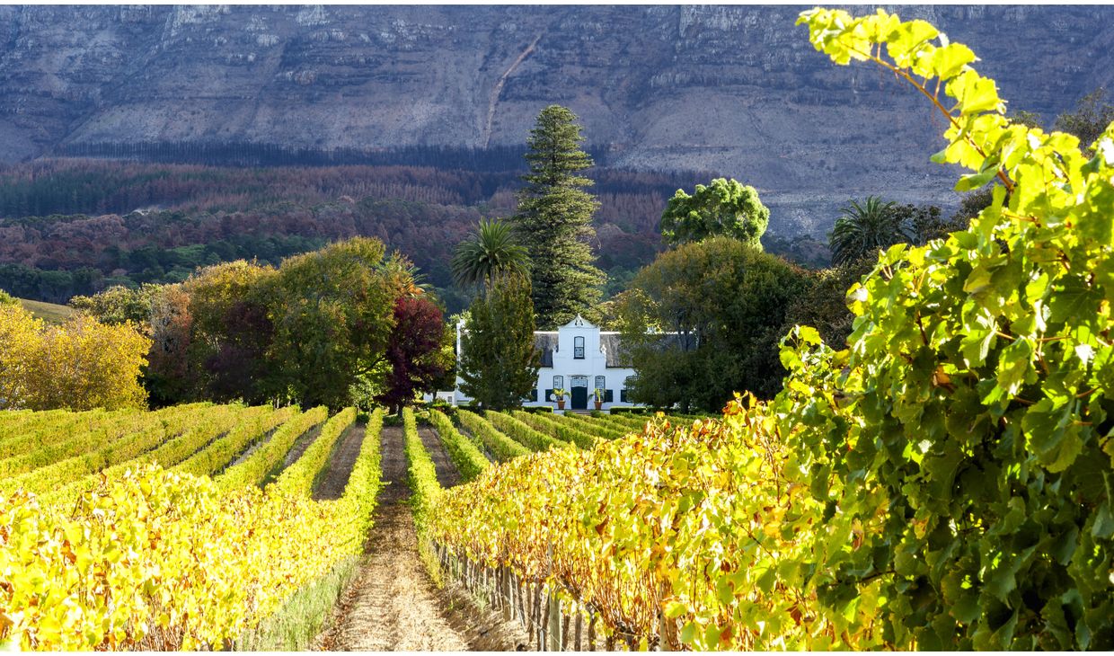 Avondrood Chardonnay Westkaap