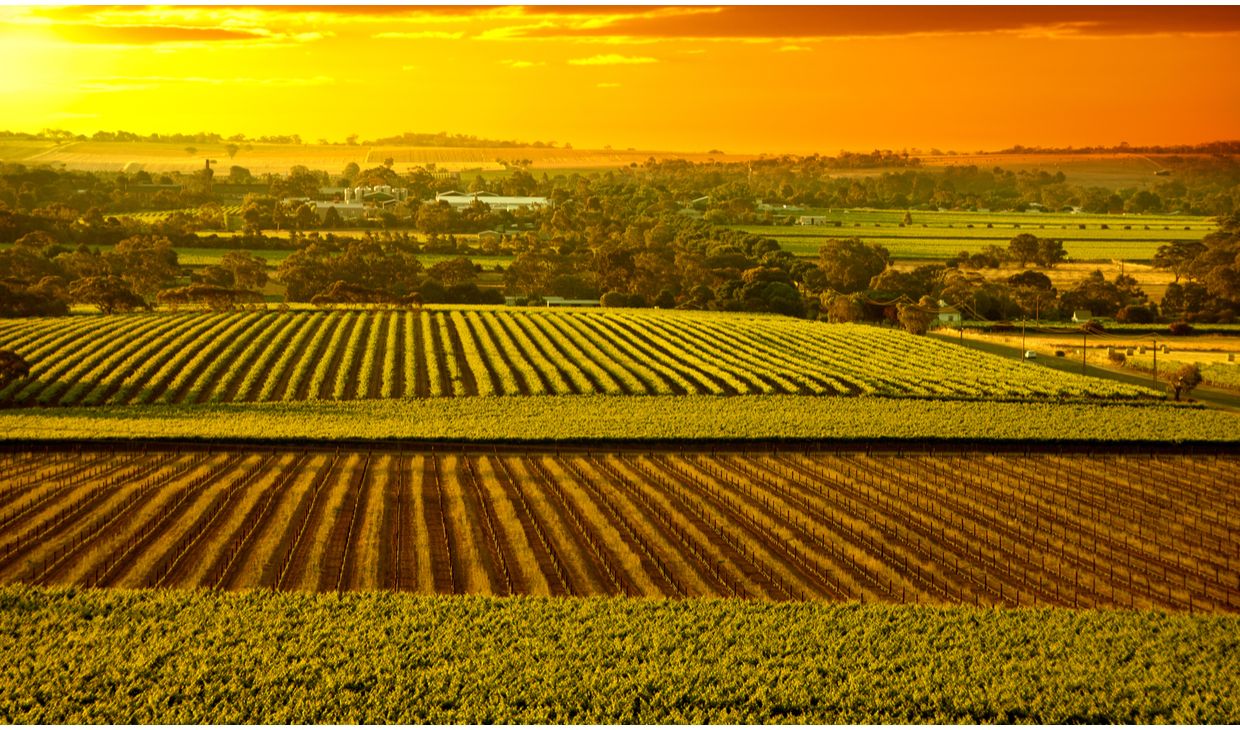 Rugger Hill  Zuid-Oost Australië