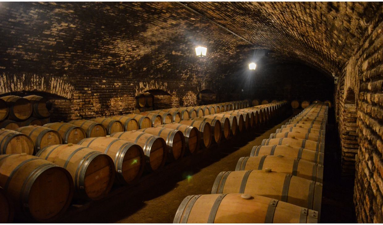 Caití Carménère Reserva Colchagua